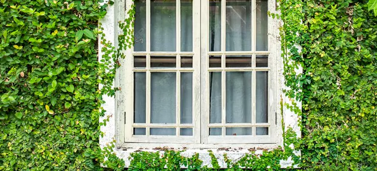 Garden Window Repair Near Me in Titusville, FL