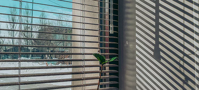 Commercial Window Blinds in Titusville, FL