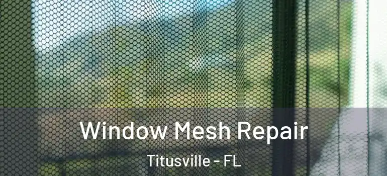 Window Mesh Repair Titusville - FL