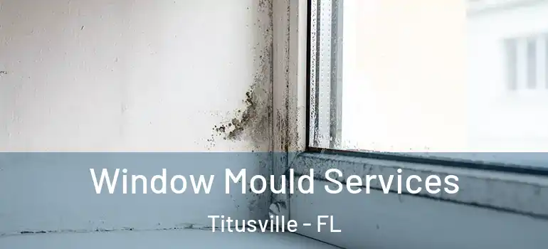 Window Mould Services Titusville - FL